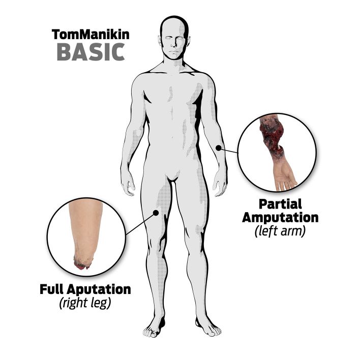 TOMManikin - BASIC image 5