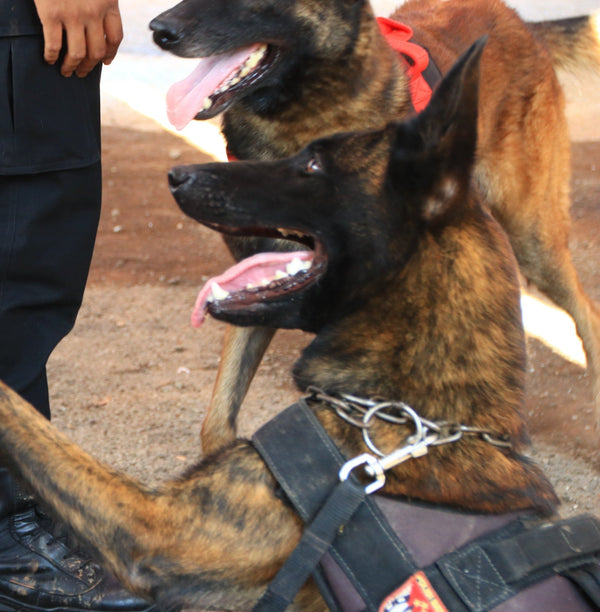 K-9 Handlers
