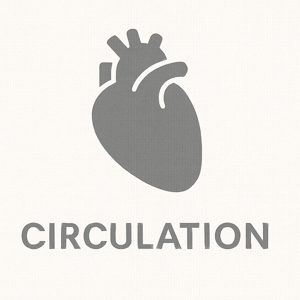 Circulation