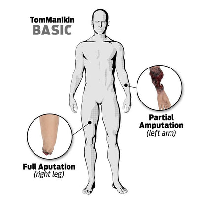TOMManikin - BASIC image 5