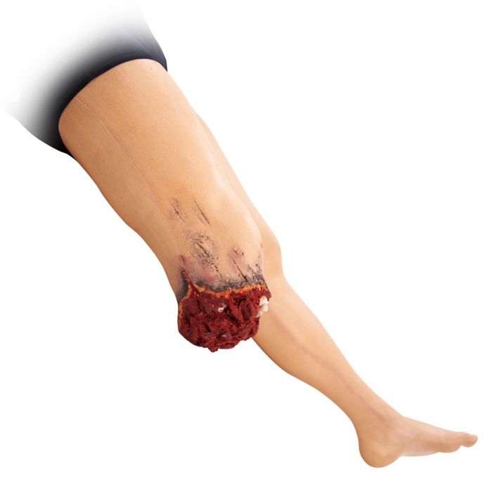 TOMManikin - BASIC image 2