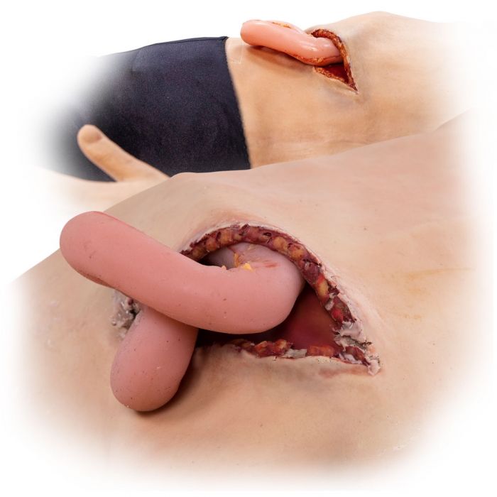 TOMManikin - BLAST image 3