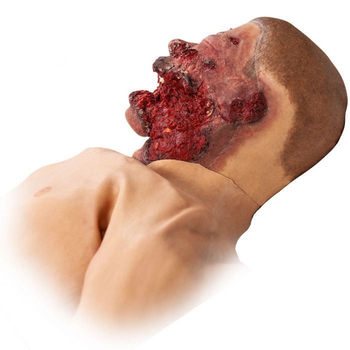 TOMManikin - BLAST image 1