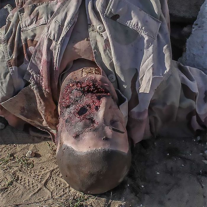 TOMManikin - BLAST image 2